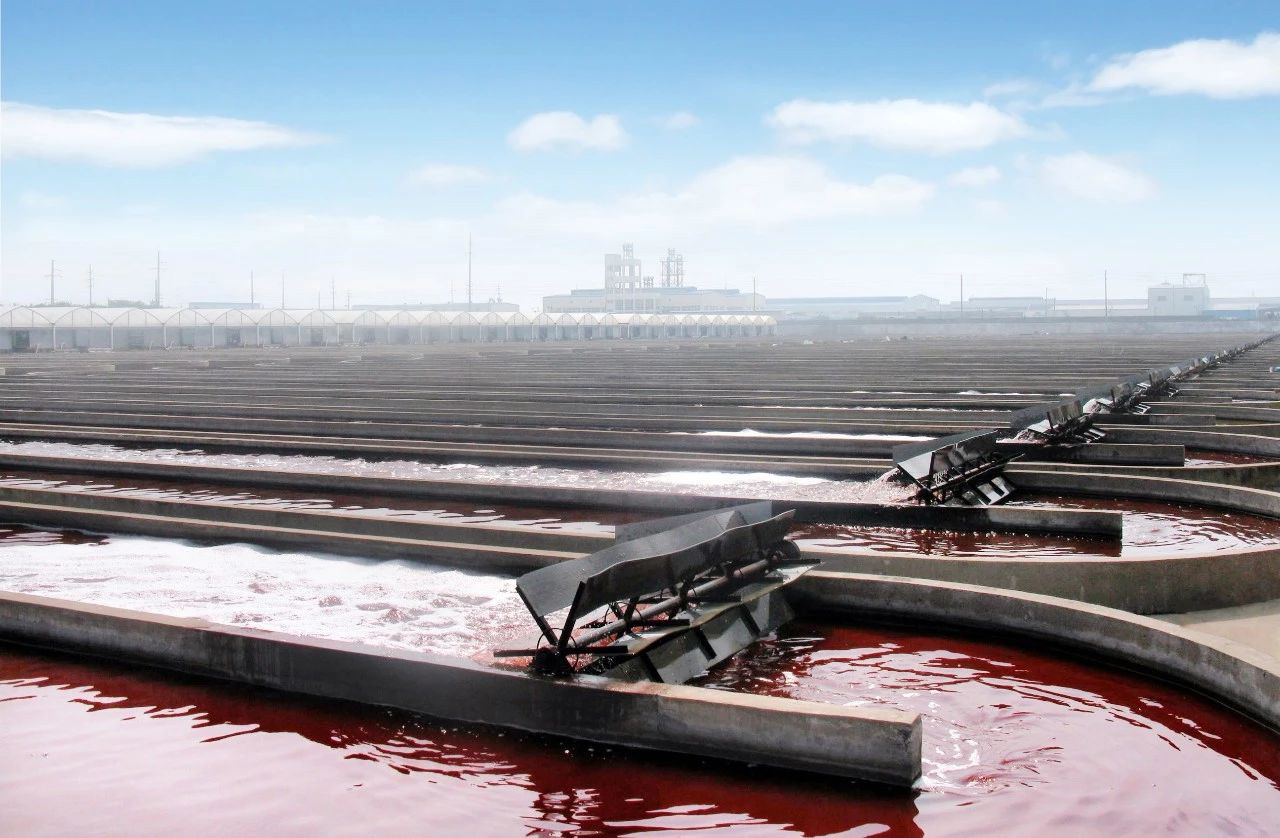 艾詩(shī)特蝦青素