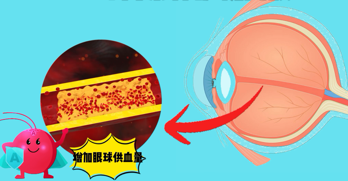 艾詩(shī)特蝦青素 艾詩(shī)特蝦青素