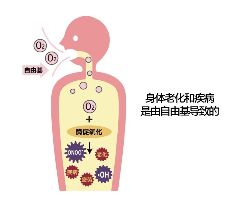 艾詩(shī)特蝦青素