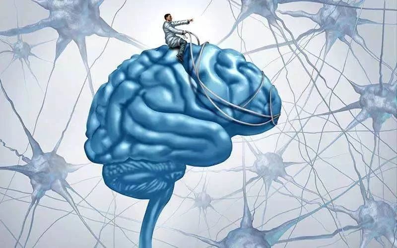 艾詩(shī)特蝦青素