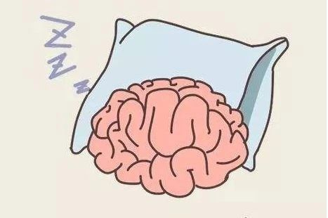 艾詩(shī)特蝦青素