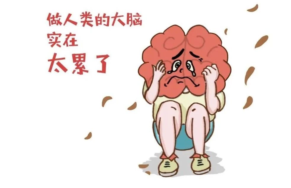 艾詩(shī)特蝦青素