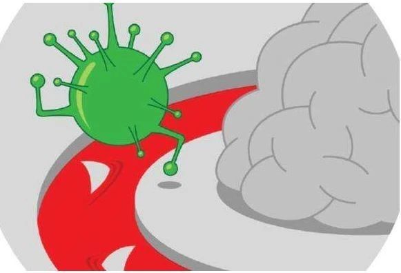 艾詩(shī)特蝦青素