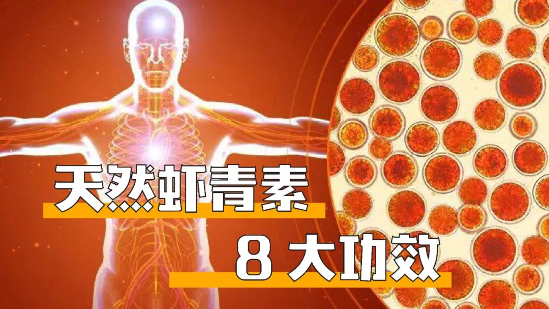 艾詩(shī)特蝦青素