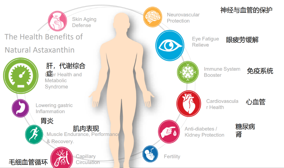 艾詩(shī)特蝦青素