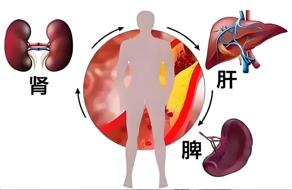 艾詩(shī)特蝦青素