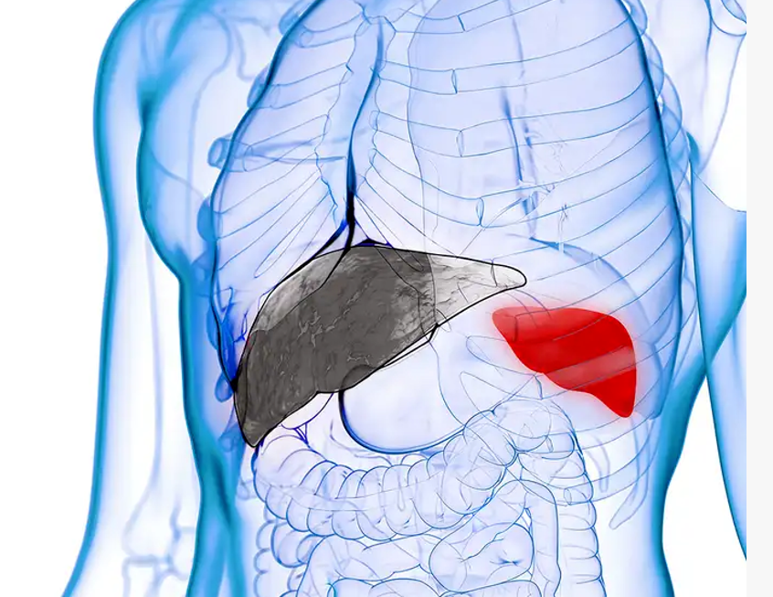 艾詩(shī)特蝦青素