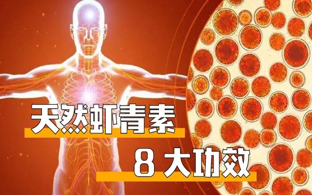 【科普】天然蝦青素8大臨床作用