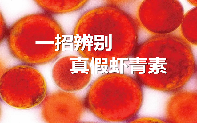 【實驗】手把手教你，一招辨別真假蝦青素！