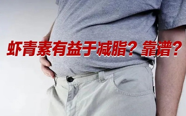 【冷知識】肥胖居然是一種炎癥！蝦青素有益于“消炎”？