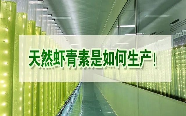 天然蝦青素是如何生產(chǎn)？走進(jìn)源頭工廠看一看！